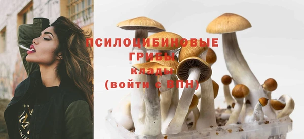 крисы Беломорск