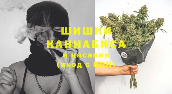крисы Беломорск