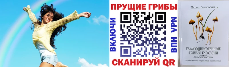 где можно купить   Черепаново  Псилоцибиновые грибы прущие грибы 